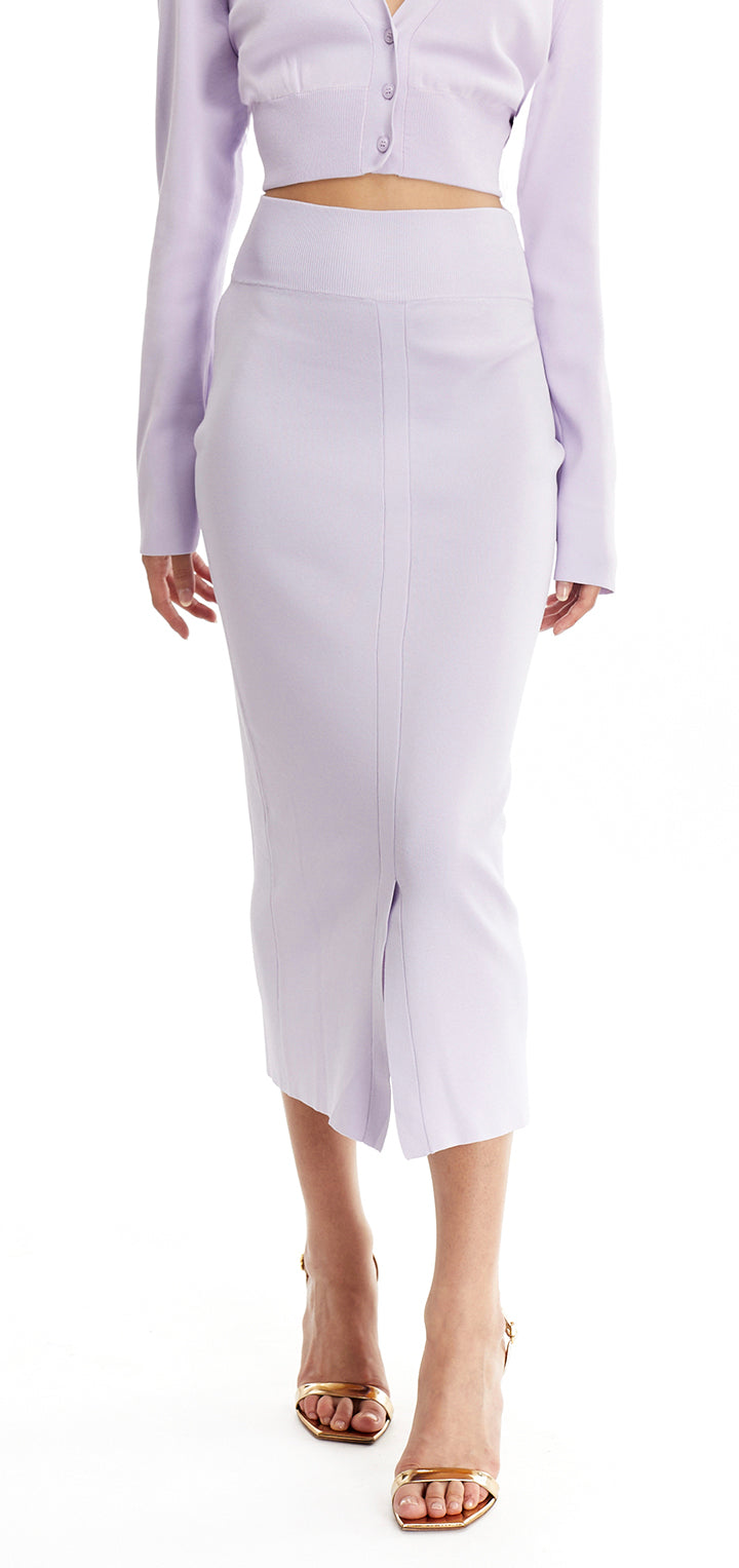 Lilac Purple a Line Skirt - Sweden