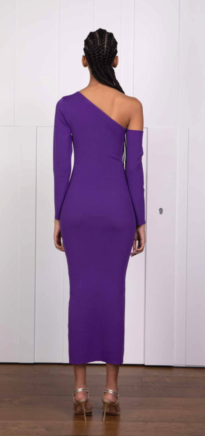 Federica Long Sleeve Dress - Purple
